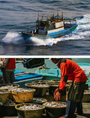 海洋漁撈作業與外籍漁工