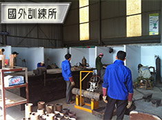 國內新增投資案示意圖